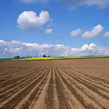 paesaggio rurale