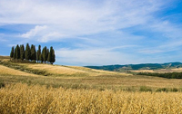 Paesaggio rurale Italia