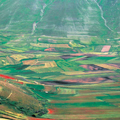 Paesaggio agricolo