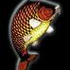 logo CARPITALY