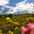 natura abbruzzo