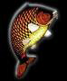 logo CARPITALY