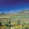 paesaggio