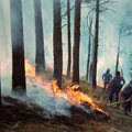 incendio