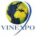 logo vinexpo