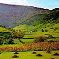 Paesaggio rurale Spagna
