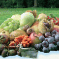 frutta