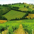 paesaggio agricolo