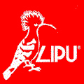 Logo Lipu