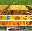 mix agricoltura