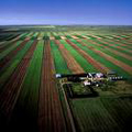 Campo agricolo