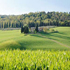 campagna
