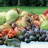 frutta