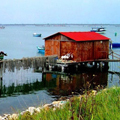 paesaggio veneto