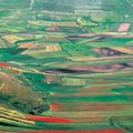 Paesaggio agricolo