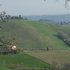 immagine campagna marchigiana