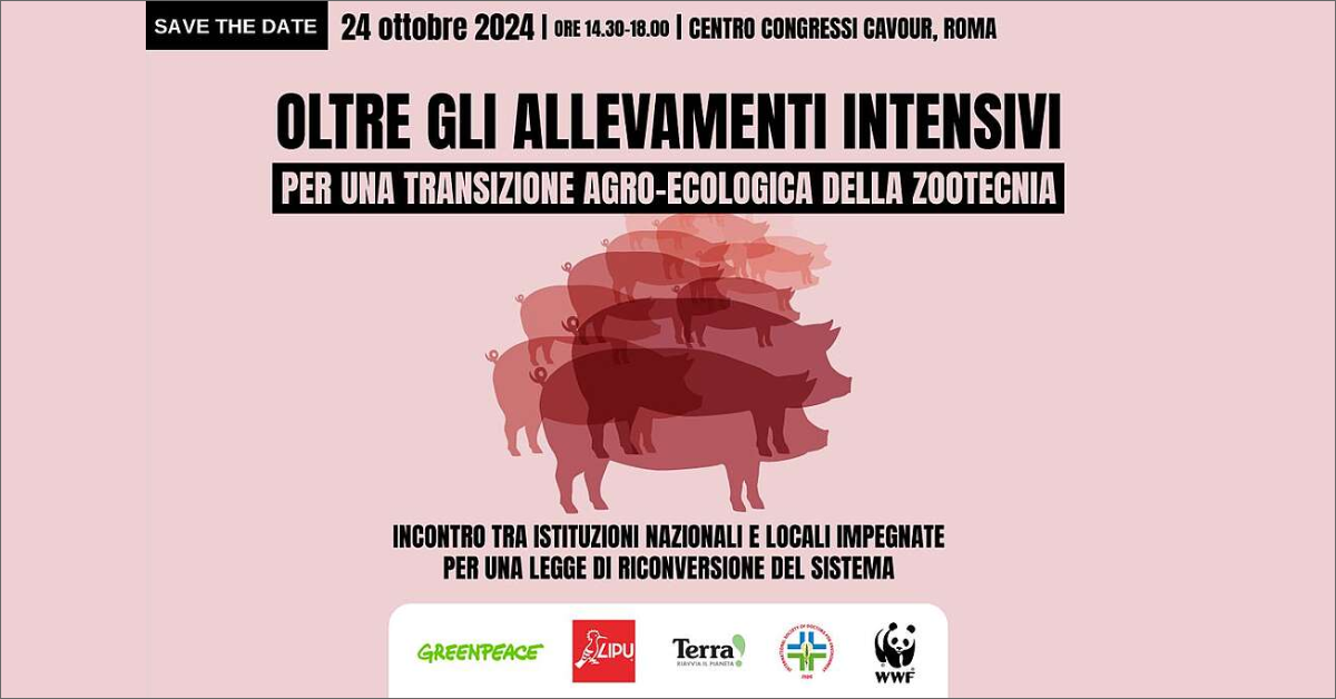 immagine notizia