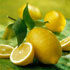 foto limoni
