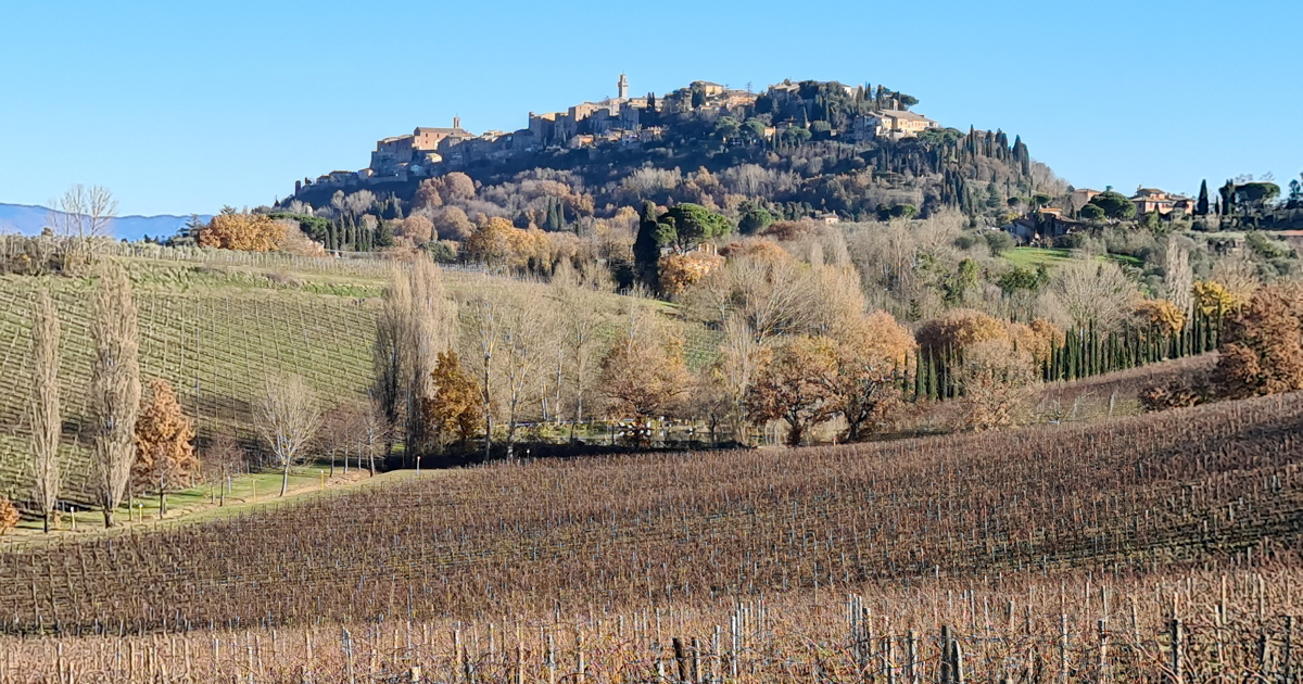 Paesaggio collinare policolturale di Pienza e Montepulciano