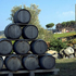 immagini di botti