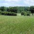 foto agricoltura