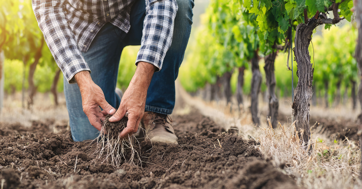 bando di gara