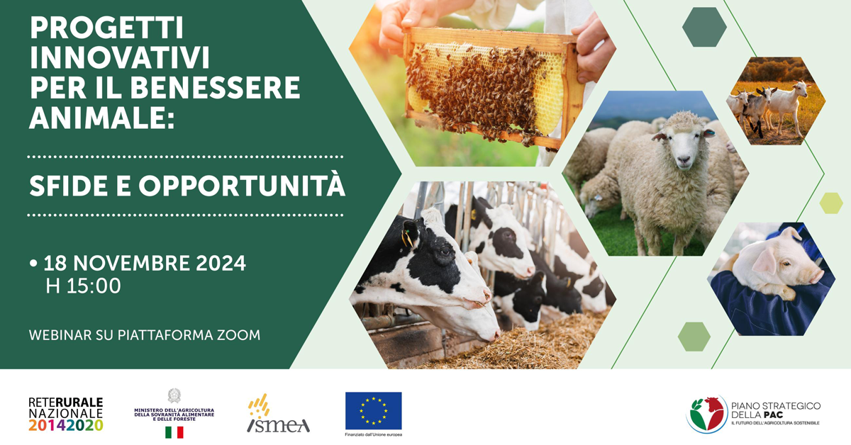 locandina evento