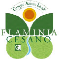 Logo GAL Flaminia Cesano 