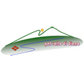 Logo Gal Vallo di Diano 