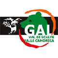 Logo GAL Val Camonica e Val di Scalve 