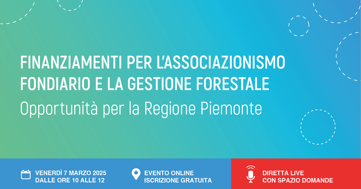 Foreste