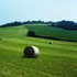 immagine campo verde