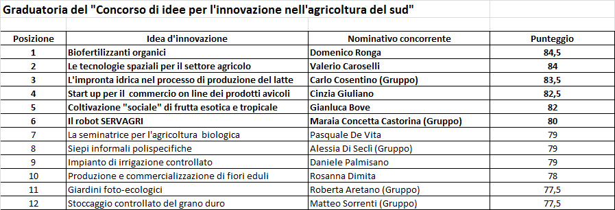 graduatoria bando Sudinnova