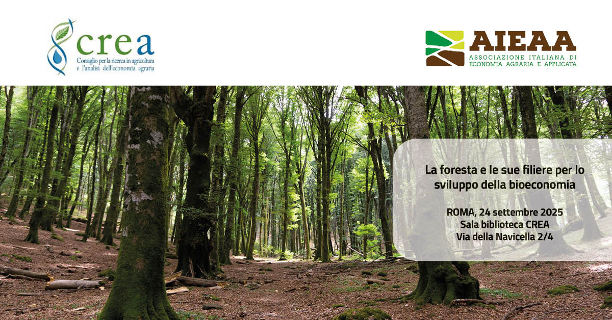 Foreste