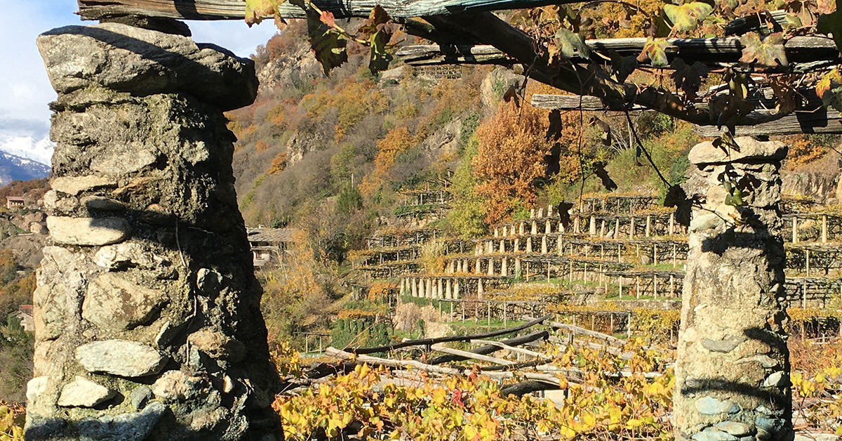 Paesaggi Terrazzati Viticoli e Agricoli del Mombarone