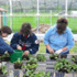 riabilitazione psico sociale in agricoltura