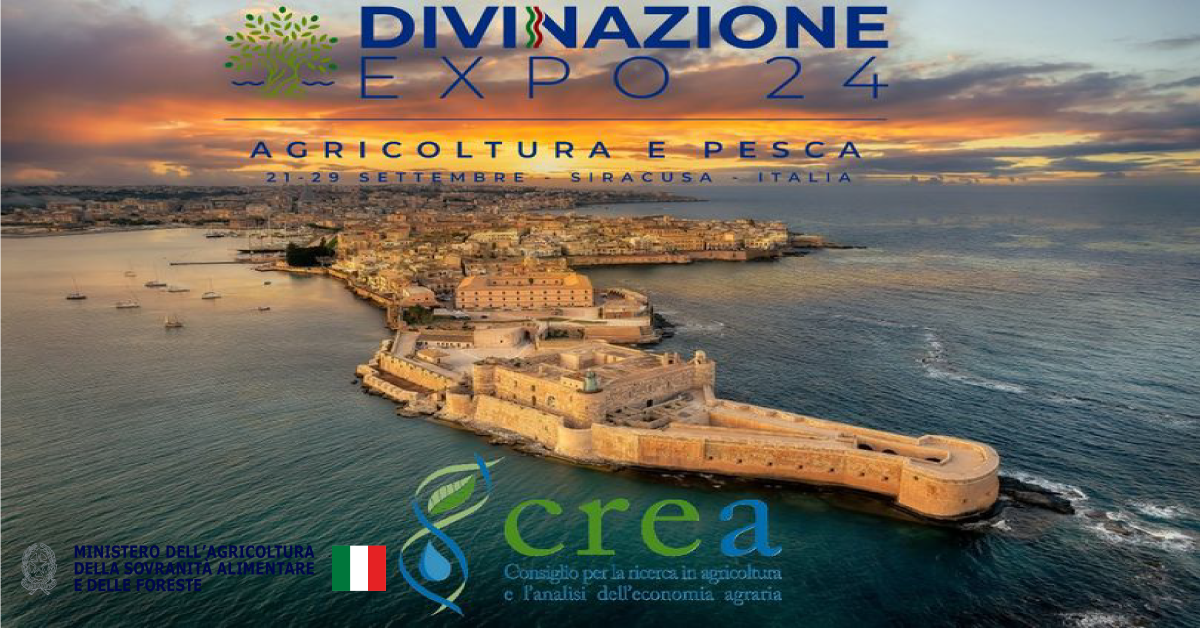grafica evento