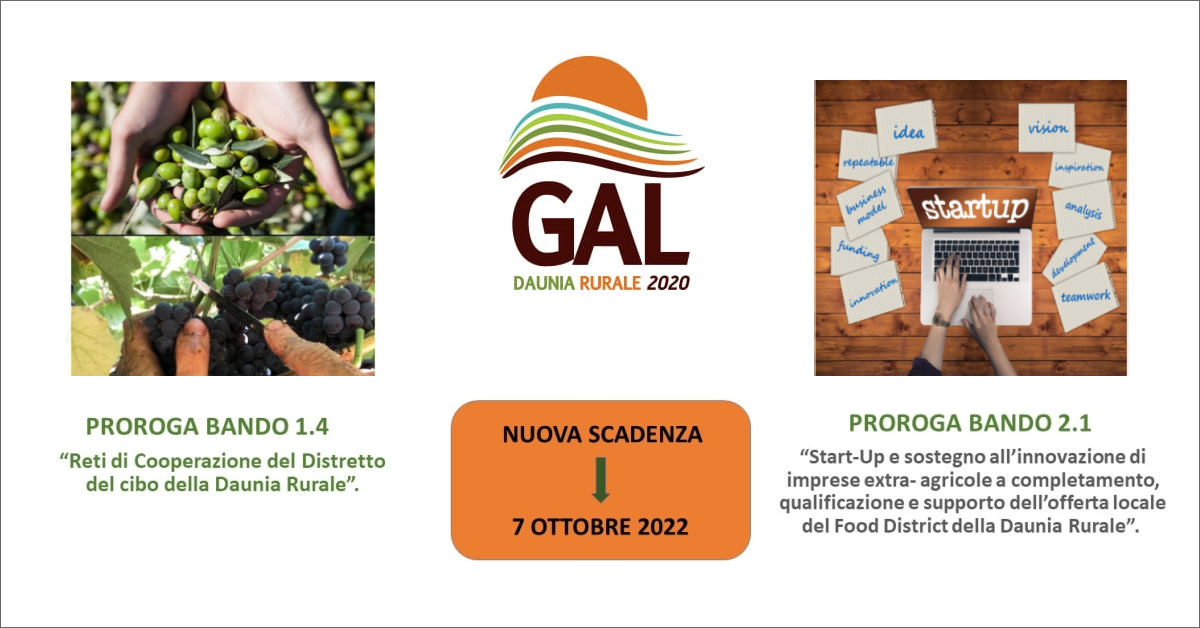 immagine bandi