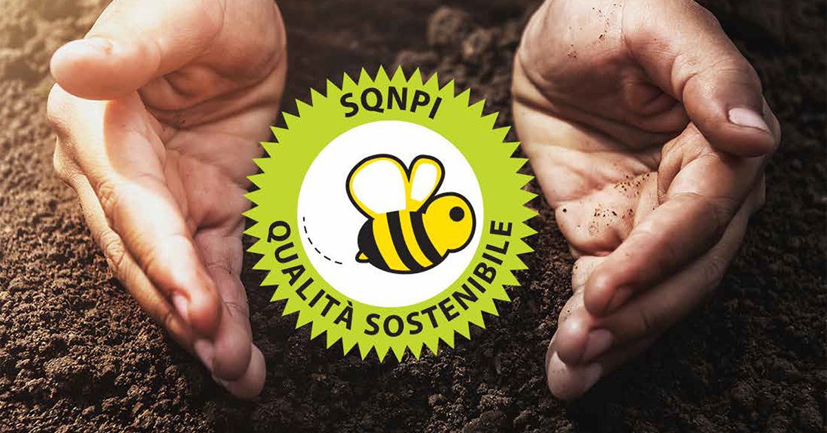 foto mani che tengono nei palmi il logo SQNPI