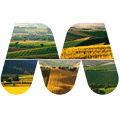 logo multifunzionalit