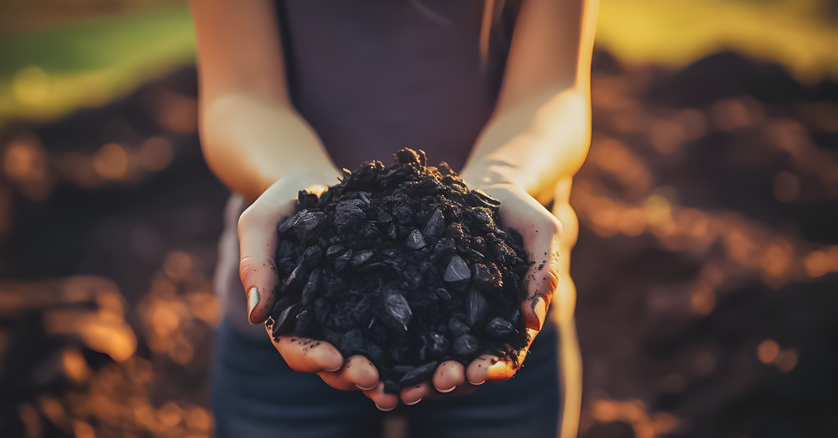 MANI CHE TENGONO IL BIOCHAR