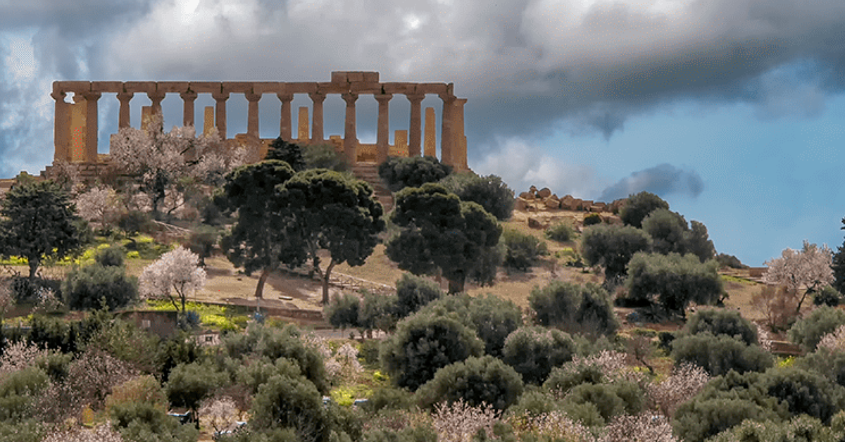 Il bosco di mandorli e d'olivi e i giardini d'agrumi della Valle dei Templi d'Agrigento