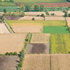 foto agricoltura Veneto 