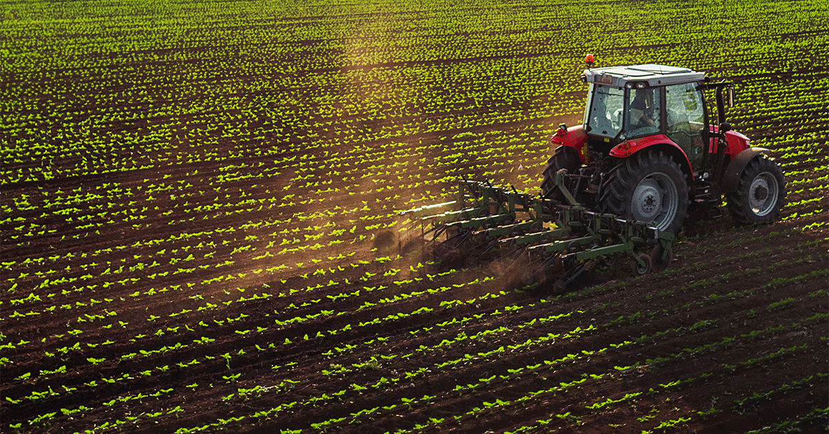 Report finanziario - copertina