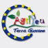 logo agriyou