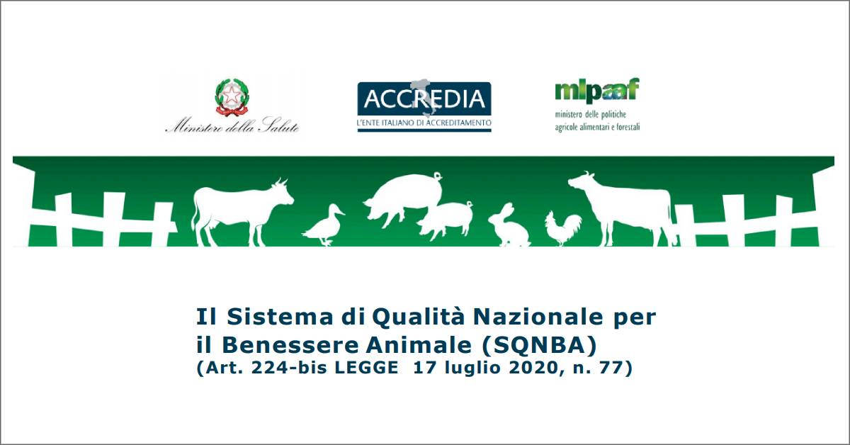 immagine notizia