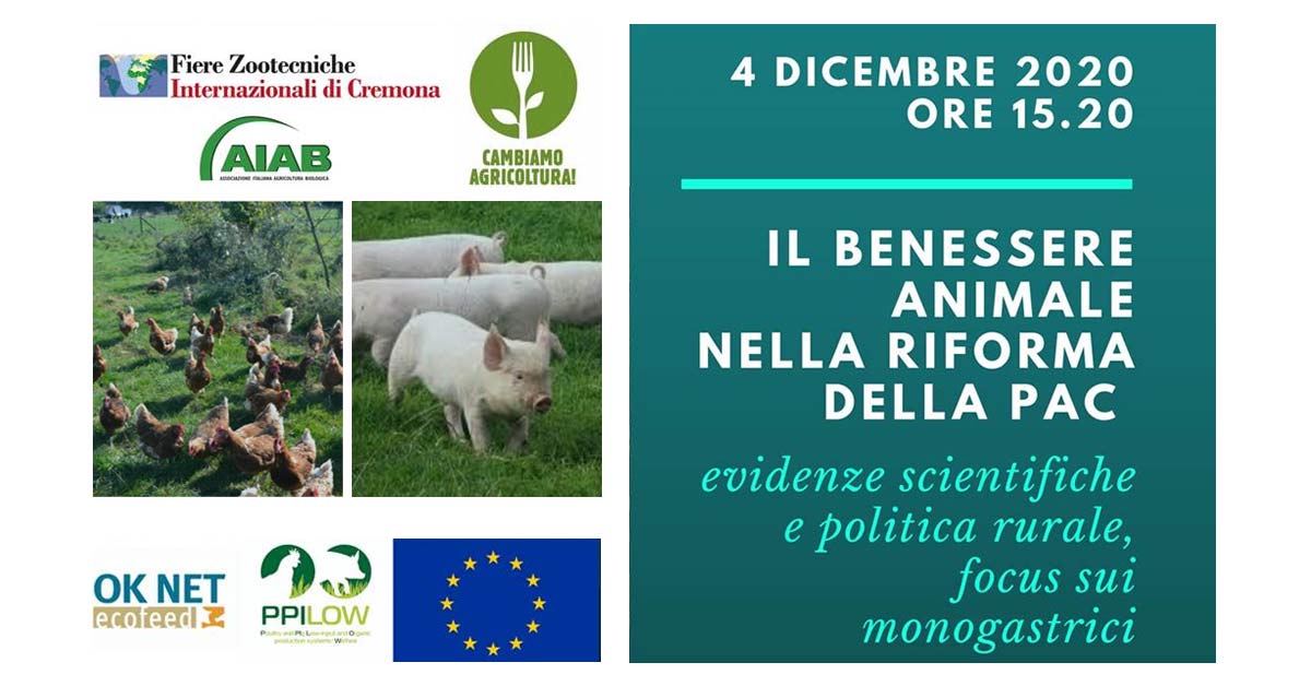 immagine notizia