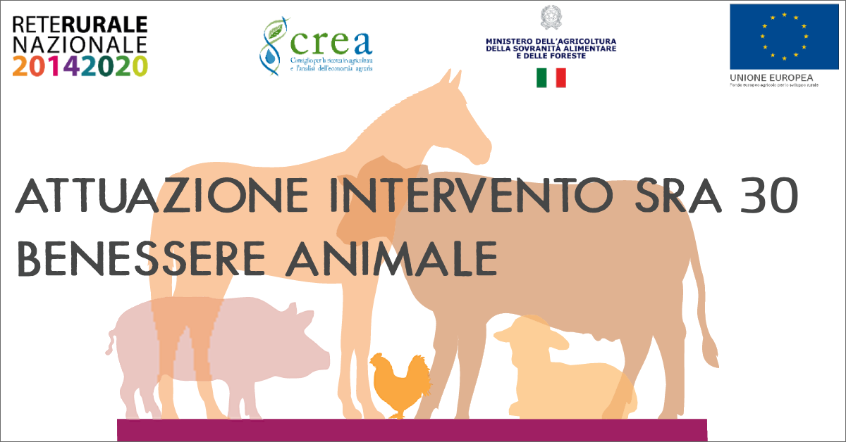 immagine notizia
