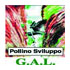 Logo GAL Pollino Sviluppo