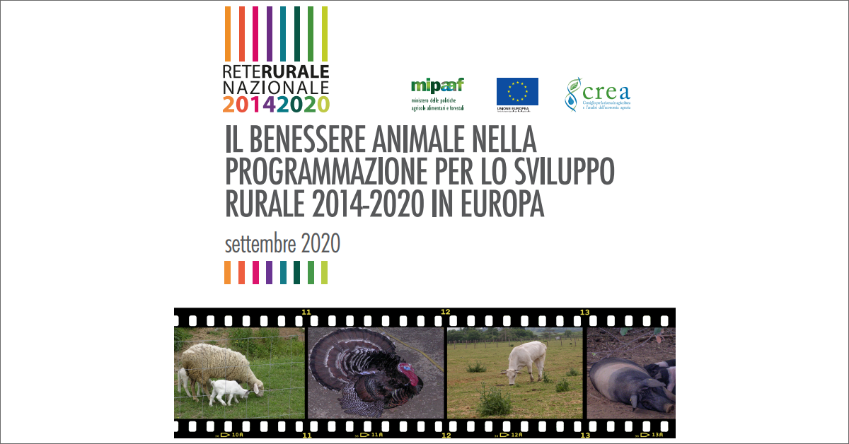 copertina documento